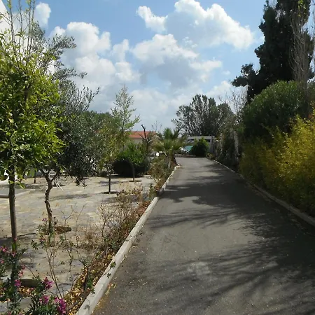 Mandorla * Lardos