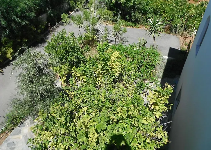 Mandorla * لاردوس