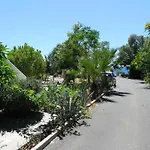 Mandorla