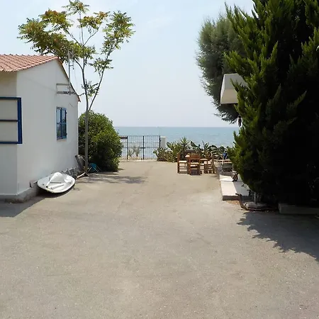 Mandorla Apartament