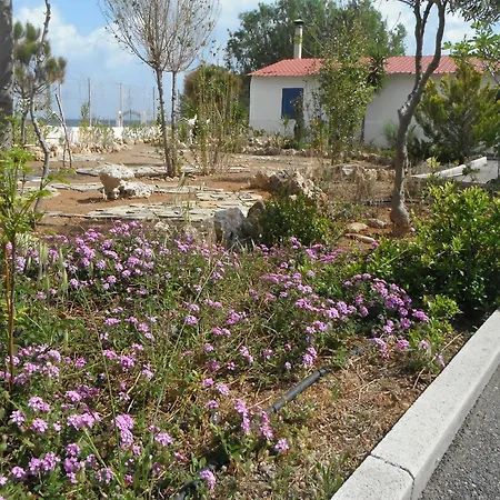 Апартаменты Mandorla