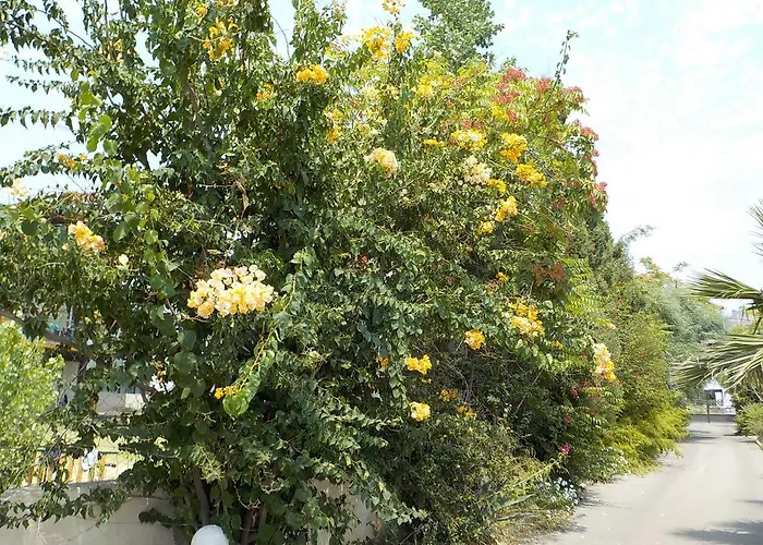 Mandorla * Лардос