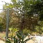 Διαμέρισμα Mandorla