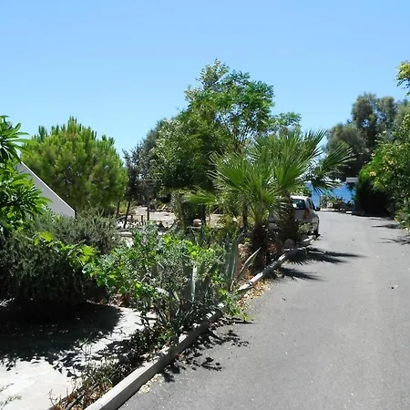 Mandorla