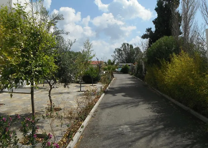 Mandorla * Lardos