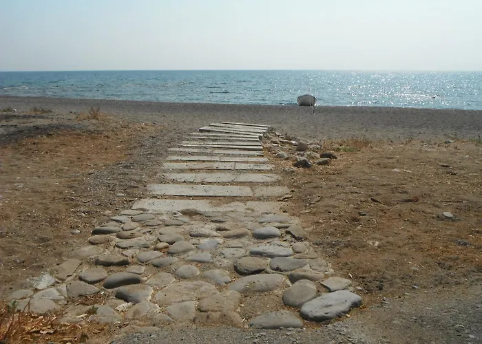 Mandorla Daire *